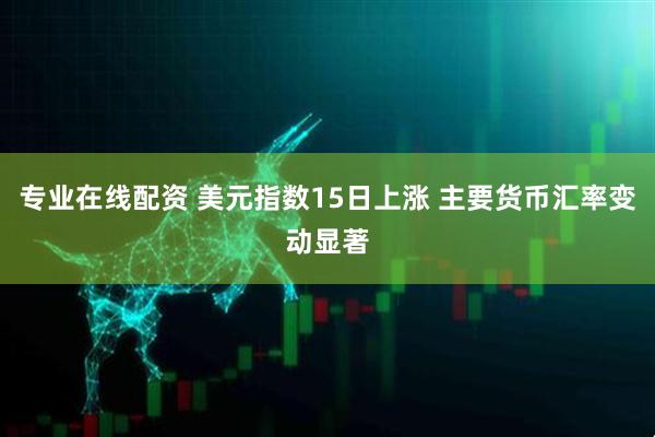 专业在线配资 美元指数15日上涨 主要货币汇率变动显著